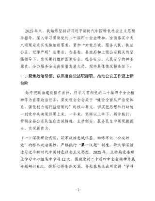 XX县副县长、公安局局长2025年述职述廉述法报告