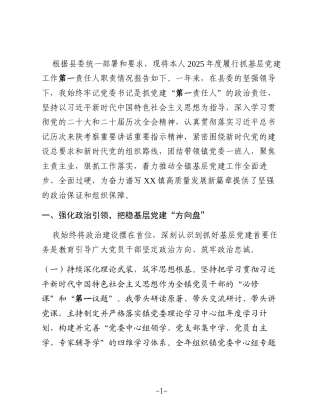XX乡镇党委书记2025年抓基层党建工作述职报告1