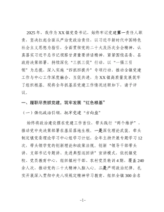 XX乡镇党委书记2025年抓基层党建工作述职报告3