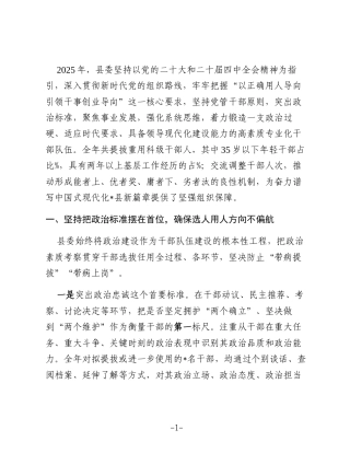 县委2025年度干部选拔任用工作情况报告