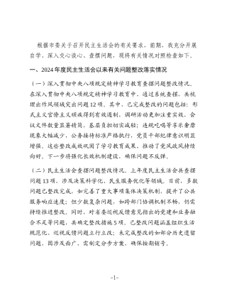 2025年度民主生活会个人对照检查发言提纲