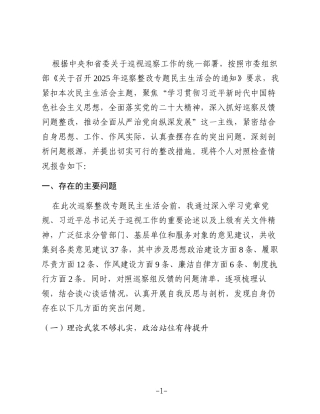 关于2025年巡察整改专题民主生活会领导个人对照检查材料