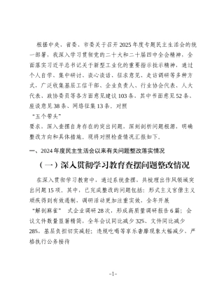 市经信局领导干部 2025 年度民主生活会对照检查材料