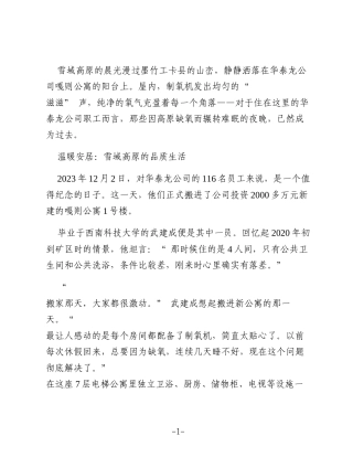 在世界屋脊筑起“ 黄金家园”——西藏华泰龙公司员工关怀纪实