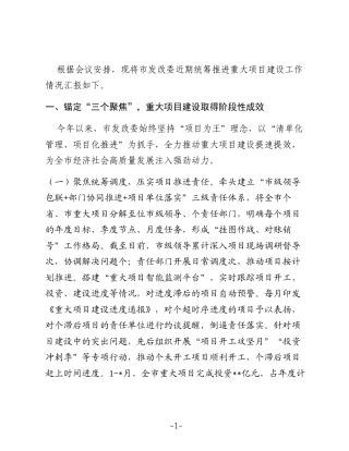 市发改委主任在全市重大项目建设现场会上的汇报发言