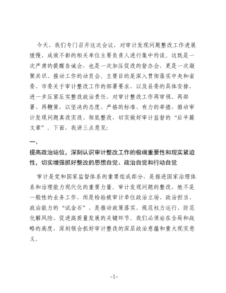 在全县审计发现问题整改集中约谈会上的讲话