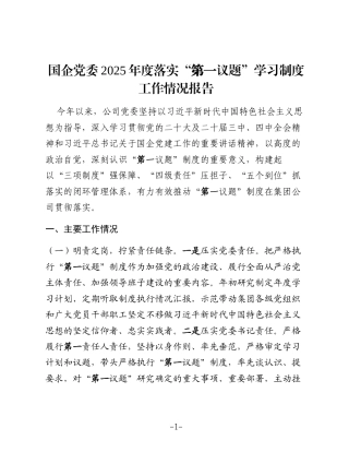 （9篇）2025年度落实“第一议题”学习制度工作情况报告