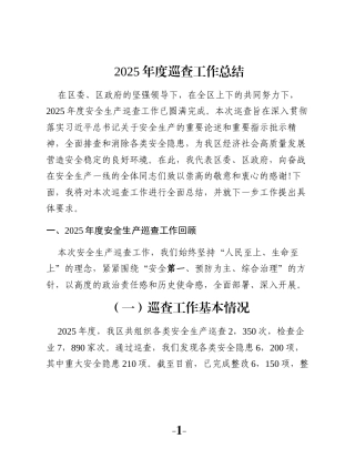 2025年度巡查工作总结