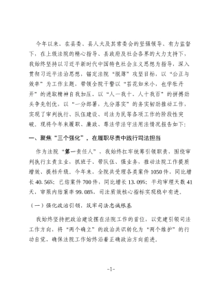XX县人民法院院长2025年度述职述廉述法报告