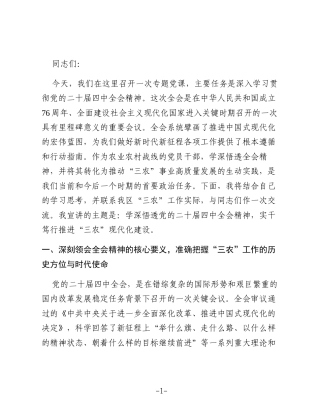 党课：学深悟透四中全会精神，实干笃行推进“三农”现代化建设