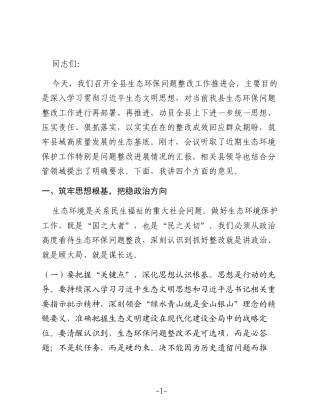 在全县生态环保问题整改工作推进会上的讲话