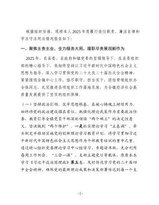 XX乡镇组织委员2025年述职述廉述法报告2