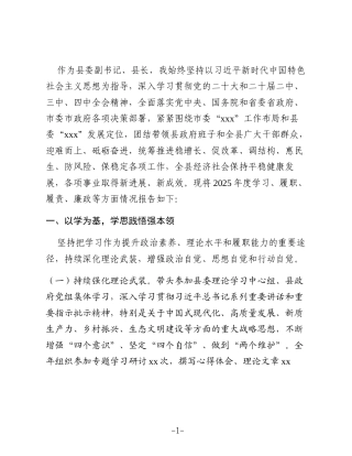 某县委副书记、县长2025年度述职述责述廉述学报告2