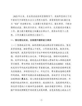 某乡镇党委副书记、镇长2025年度述职述廉报告