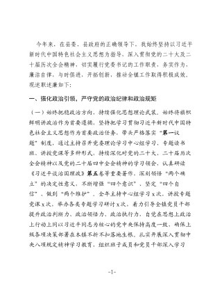 某乡镇党委书记2025年度述职述廉报告