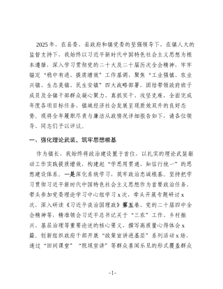 某镇党委副书记、镇长2025年述职述廉工作报告