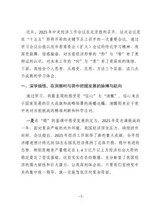 学习2025年中央经济工作会议精神感悟：在把握大势中坚定信心在砥砺奋进中担当作为