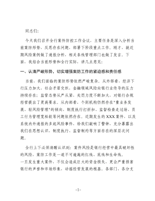 XX行长在全行案防工作会议上的讲话