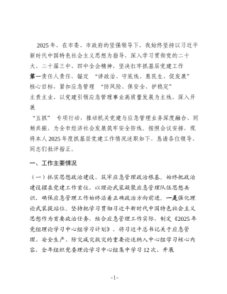 市应急管理局党组书记2025年抓基层党建工作述职报告