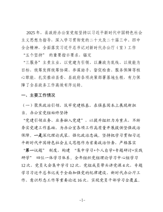 县政府办公室党组 2025 年度述职述廉述党建工作总结