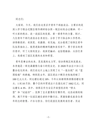 在2025年度综合保税区青年干部座谈会上的讲话