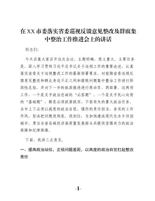 在XX市委落实省委巡视反馈意见整改及群腐集中整治工作推进会上的讲话