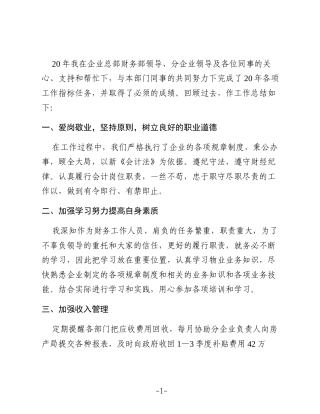 2025企业财务年终总结材料11