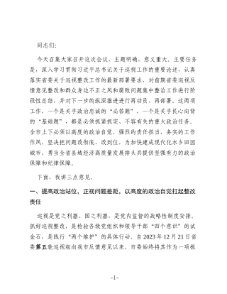 在2025年度市委落实省委巡视反馈意见整改及群腐集中整治工作推进会上的讲话