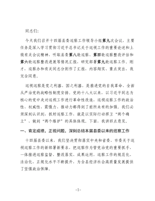 在2025年度县委巡察工作领导小组第九次会议上的讲话