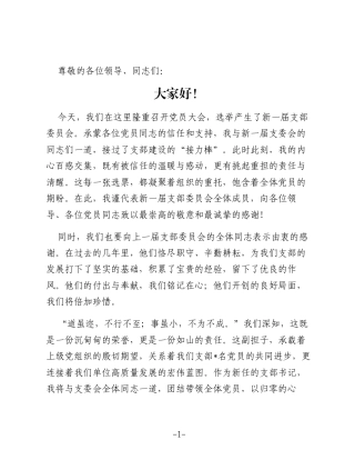 在2025年新当选党支部书记代表新一届支部委员会表态发言