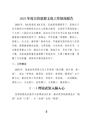 2025年度宣传思想文化工作情况报告