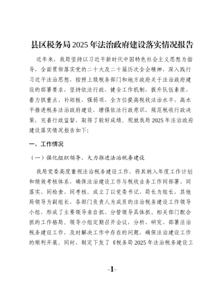 县区税务局2025年法治政府建设落实情况报告