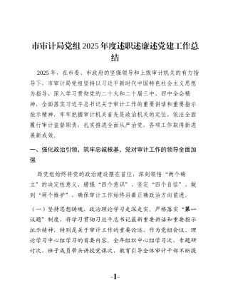 市审计局党组2025年度述职述廉述党建工作总结