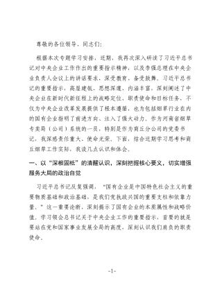 在专题学习总书记对中央企业工作作出的重要指示精神研讨交流会上的发言