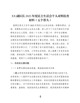 XX副区长2025年度民主生活会个人对照检查材料（五个带头）