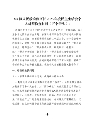XX区人民政府副区长2025年度民主生活会个人对照检查材料（五个带头）2