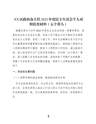 XX区政府办主任2025年度民主生活会个人对照检查材料（五个带头）