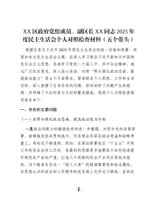 XX区政府党组成员、副区长XX同志2025年度民主生活会个人对照检查材料（五个带头）