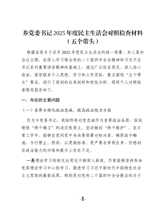 乡党委书记2025年度民主生活会对照检查材料（五个带头）