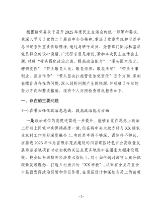 XX县XX镇副镇长2025年度民主生活会对照检查材料（五个带头）