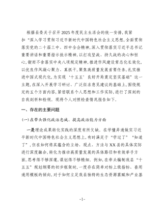 XX县人民政府县长2025年度民主生活会个人对照检查材料（五个带头）