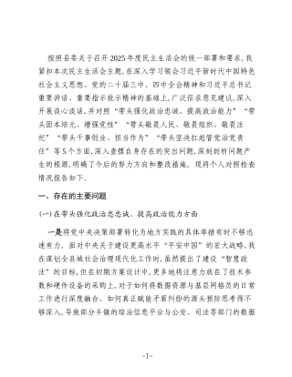 XX县委常委、政法委书记2025年度民主生活会个人对照检查材料（五个带头）