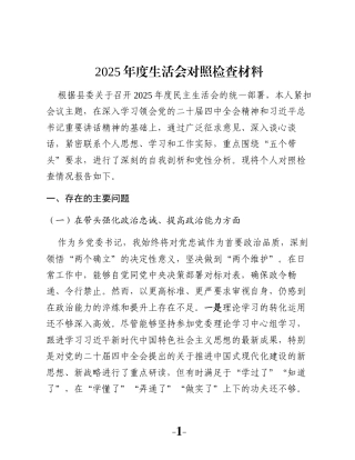 2025年度生活会对照检查材料