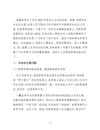 XX县委书记2025年度民主生活会个人对照检查材料（五个带头）