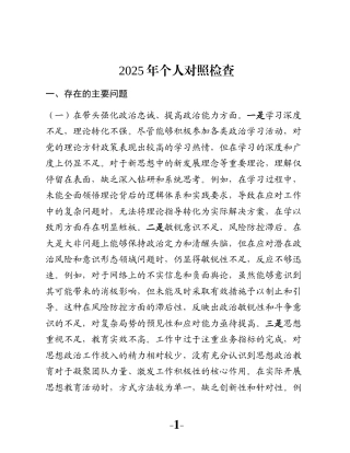 2025年个人对照检查