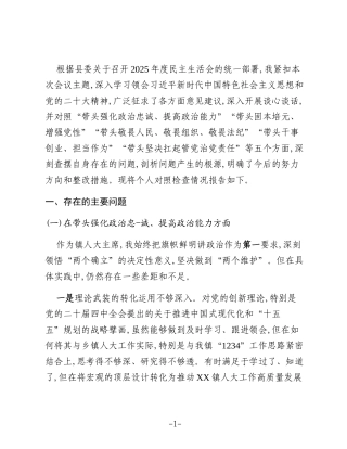 XX镇人大主席2025年度民主生活会对照检查材料（五个带头）