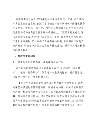 区长2025年度民主生活会个人对照检查材料（五个带头）