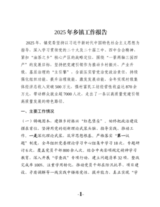 2025年乡镇工作报告