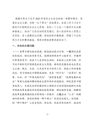 市财政局党组书记2025年度民主生活会对照检查材料（对照“五个带头”）
