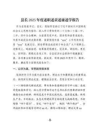 县长2025年度述职述责述廉述学报告